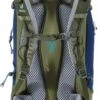 Deuter Trail 30 -Camping-Ausrüstung Verkaufsgeschäft 3440519 3235 Trail 30 steel khaki Back